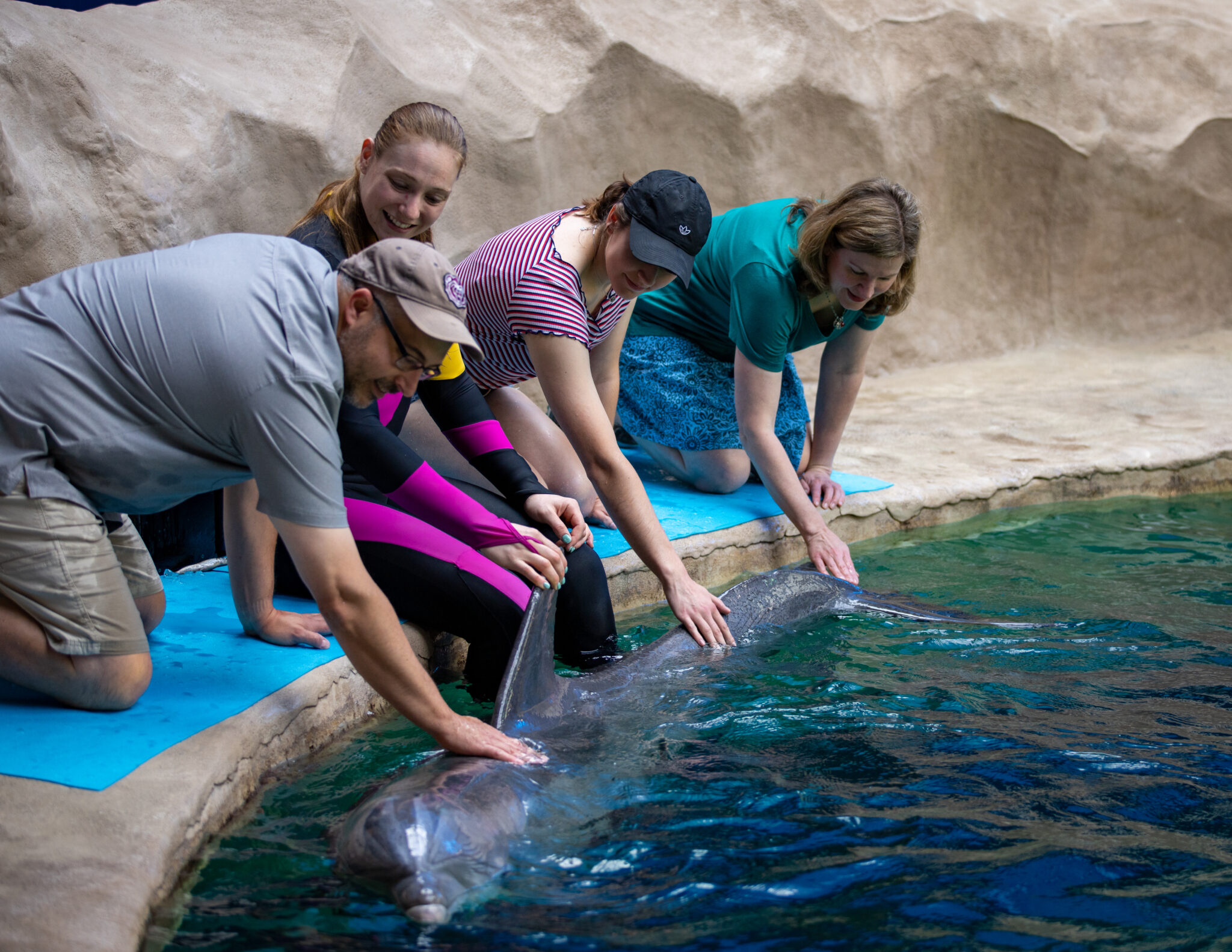 dolphin-animal-encounter-experience-georgia-aquarium