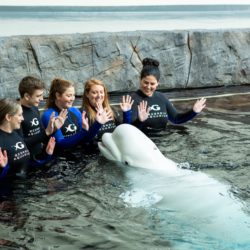 Georgia Aquarium Membership | Land and Sea Membership