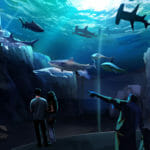 Expansion 2020 - Georgia Aquarium