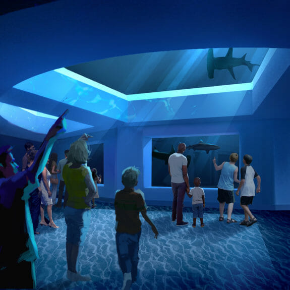 Expansion 2020 - Georgia Aquarium