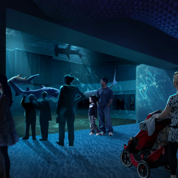 Expansion 2020 - Georgia Aquarium