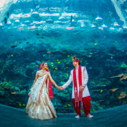 Host Your Wedding at Georgia Aquarium 27