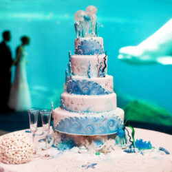 Host Your Wedding at Georgia Aquarium 29