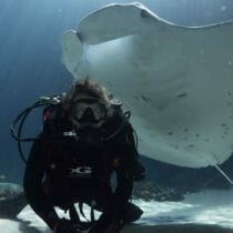 Animal Encounters - Georgia Aquarium