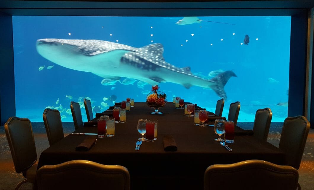 Event Venues In Atlanta Aquarium