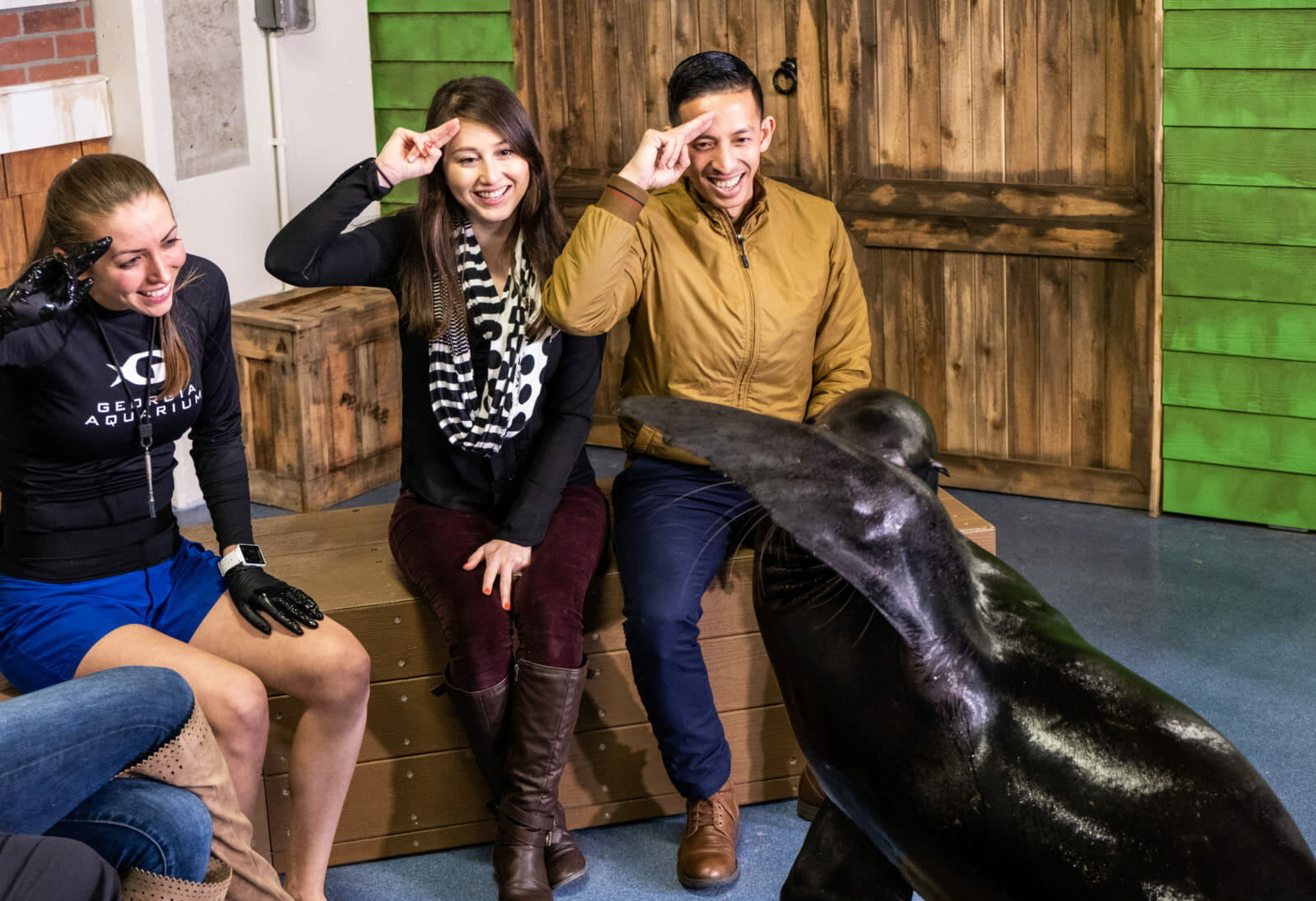 Sea Lion Encounter - Georgia Aquarium Sea Lion Encounter - Buy Today