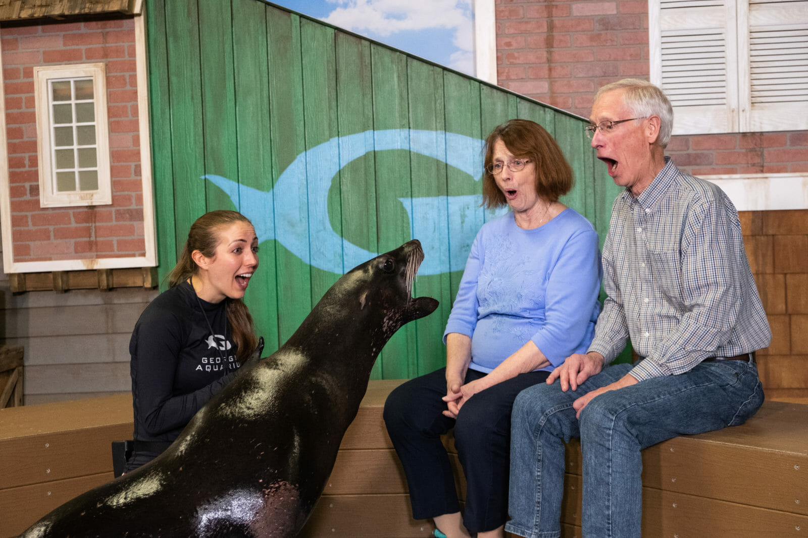 Sea Lion Encounter Aquarium Sea Lion Encounter Buy Today