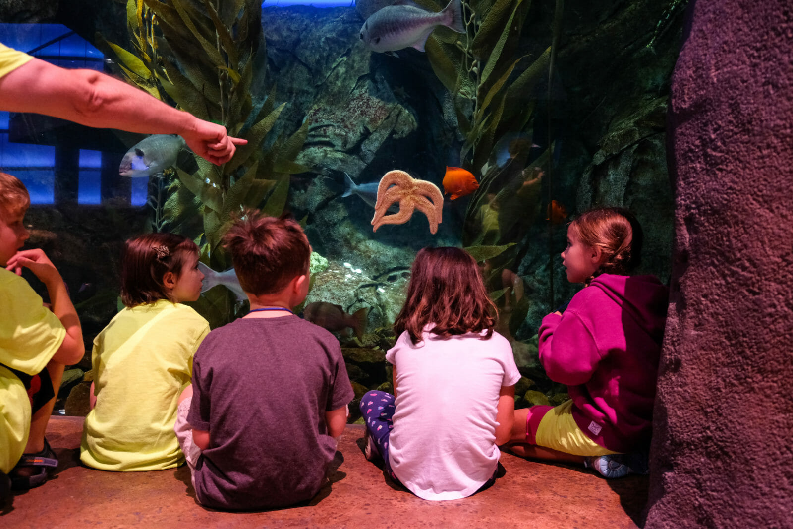 Virtual Field Trip Materials - Georgia Aquarium