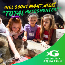 Girl Scout Night 8