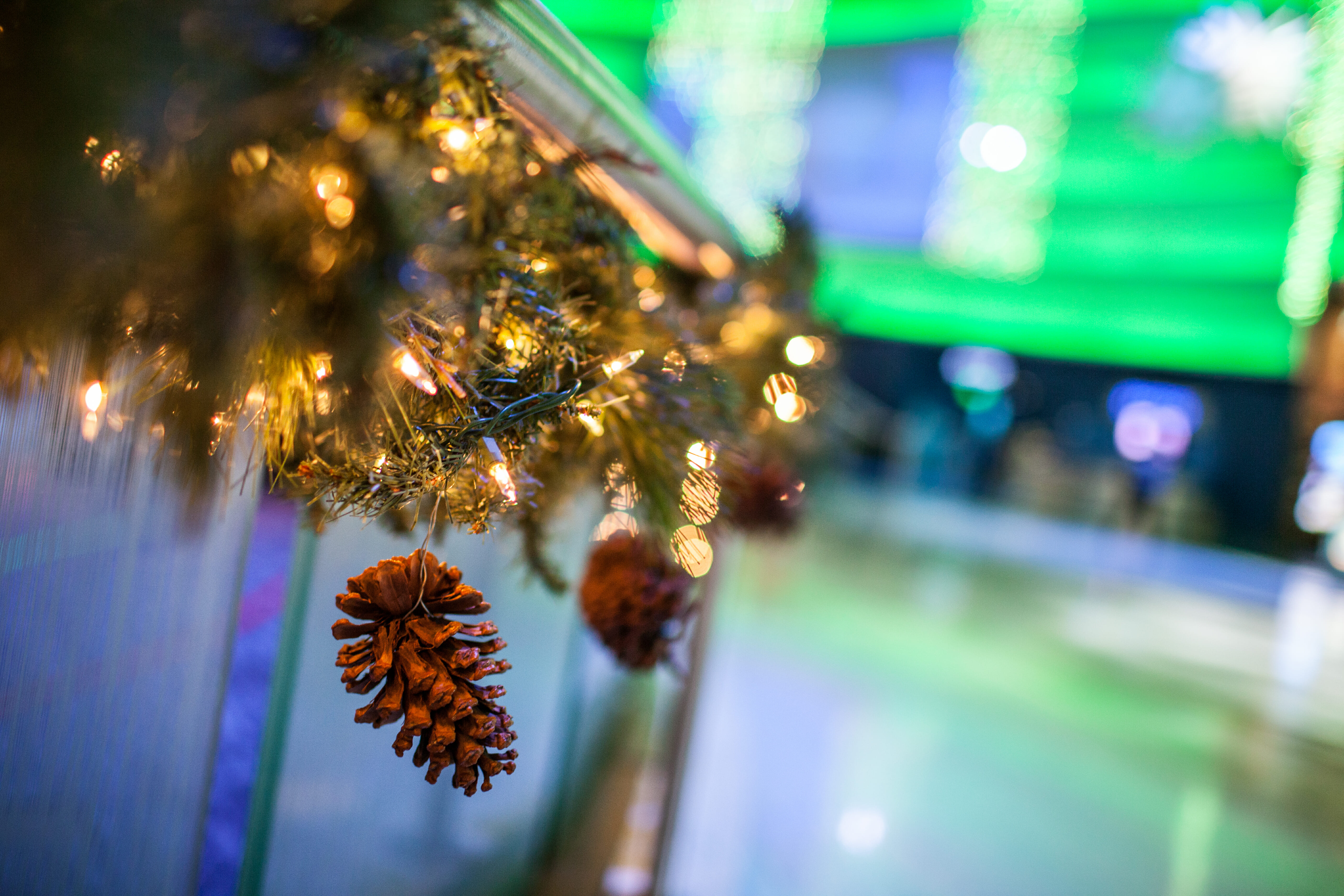 Holiday Tree Lighting November 29 2019 Georgia Aquarium