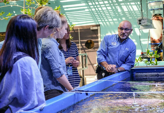 Volunteer Programs - Georgia Aquarium