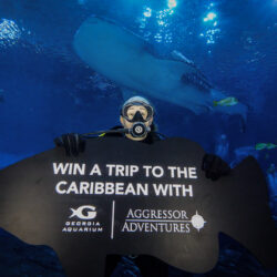 Aggressor Adventures and Georgia Aquarium Partner to Offer Ocean Science Leadership Program