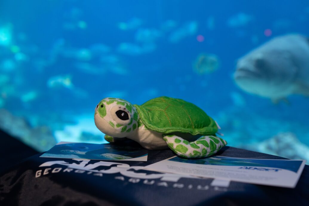 Adopt a Sea Turtle - Georgia Aquarium