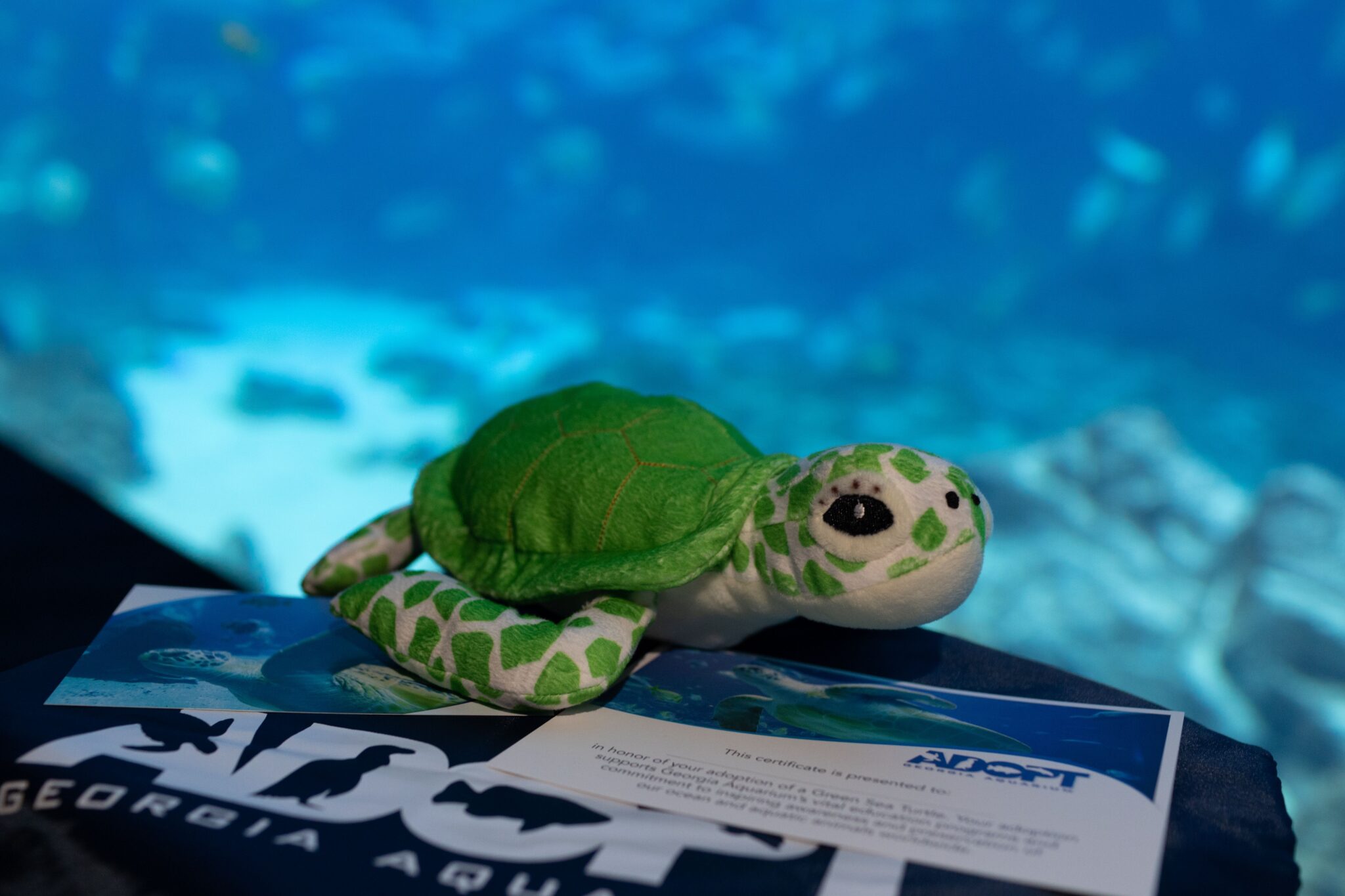 Adopt a Sea Turtle - Georgia Aquarium