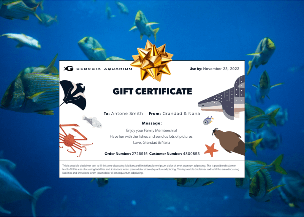 Holiday Gift Guide Georgia Aquarium Get your gifts today