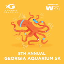 Georgia Aquarium 5KPresented by Waste Management