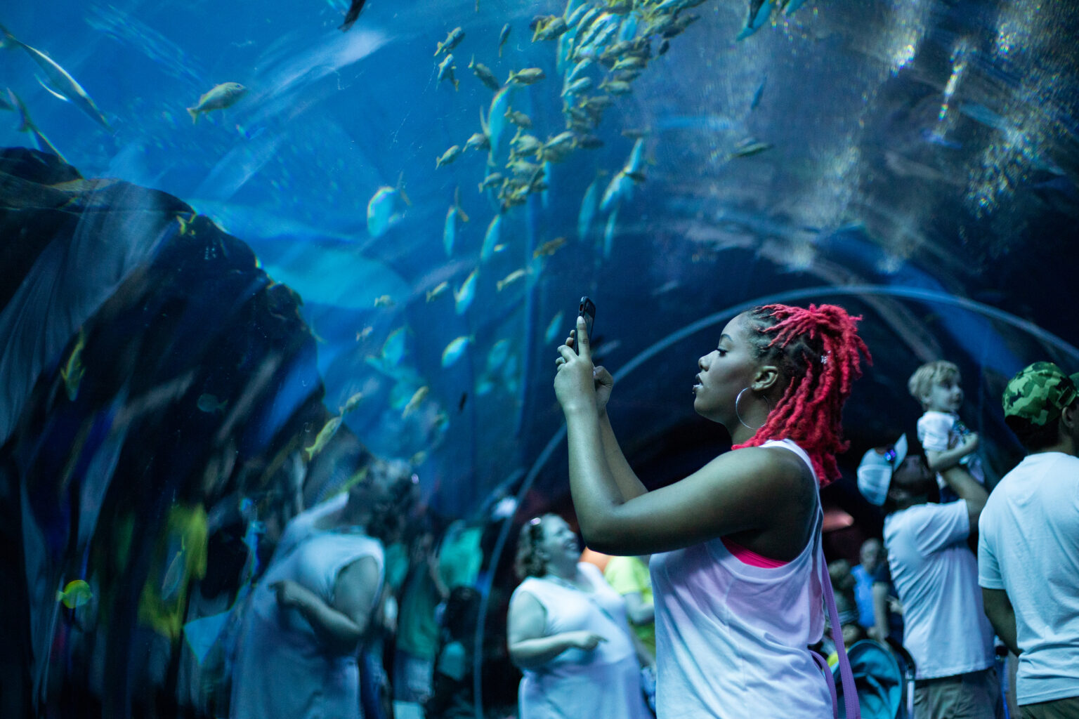 Georgia Aquarium Visit Today | Georgia Aquarium in Downtown Atlanta