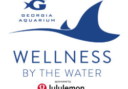 Wellness by the Water - Barre