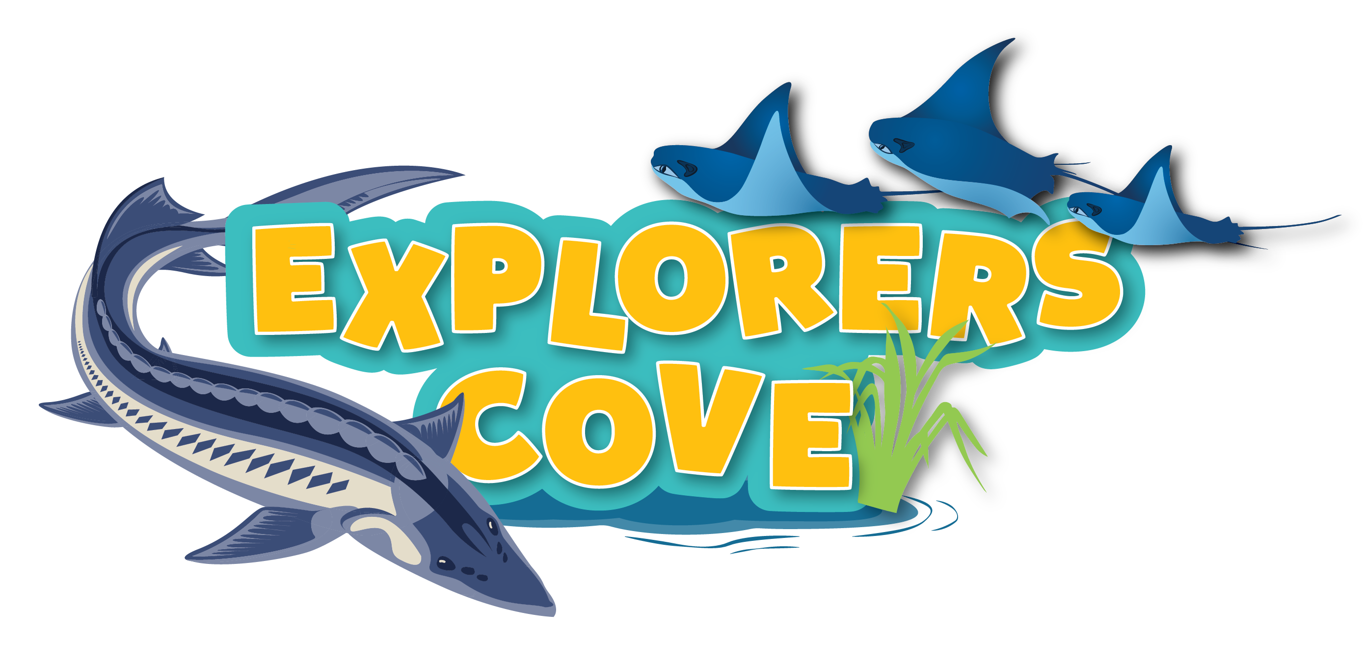 Explorer's Cove: Georgia Aquarium's New Coastal Biome Exhibit!