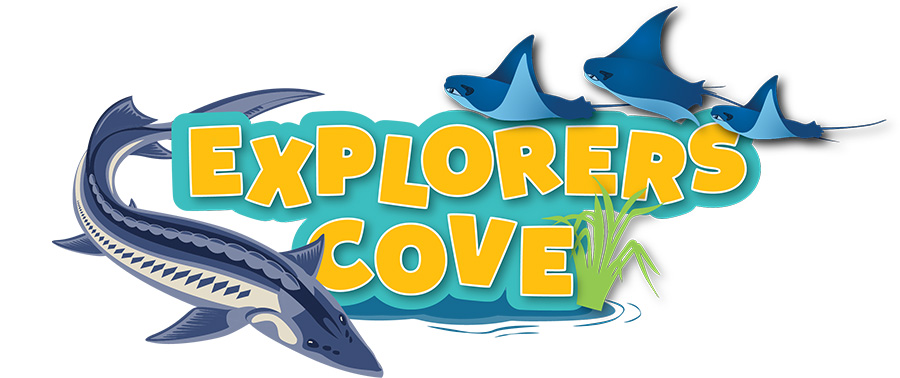 Explorers Cove at Georgia Aquarium