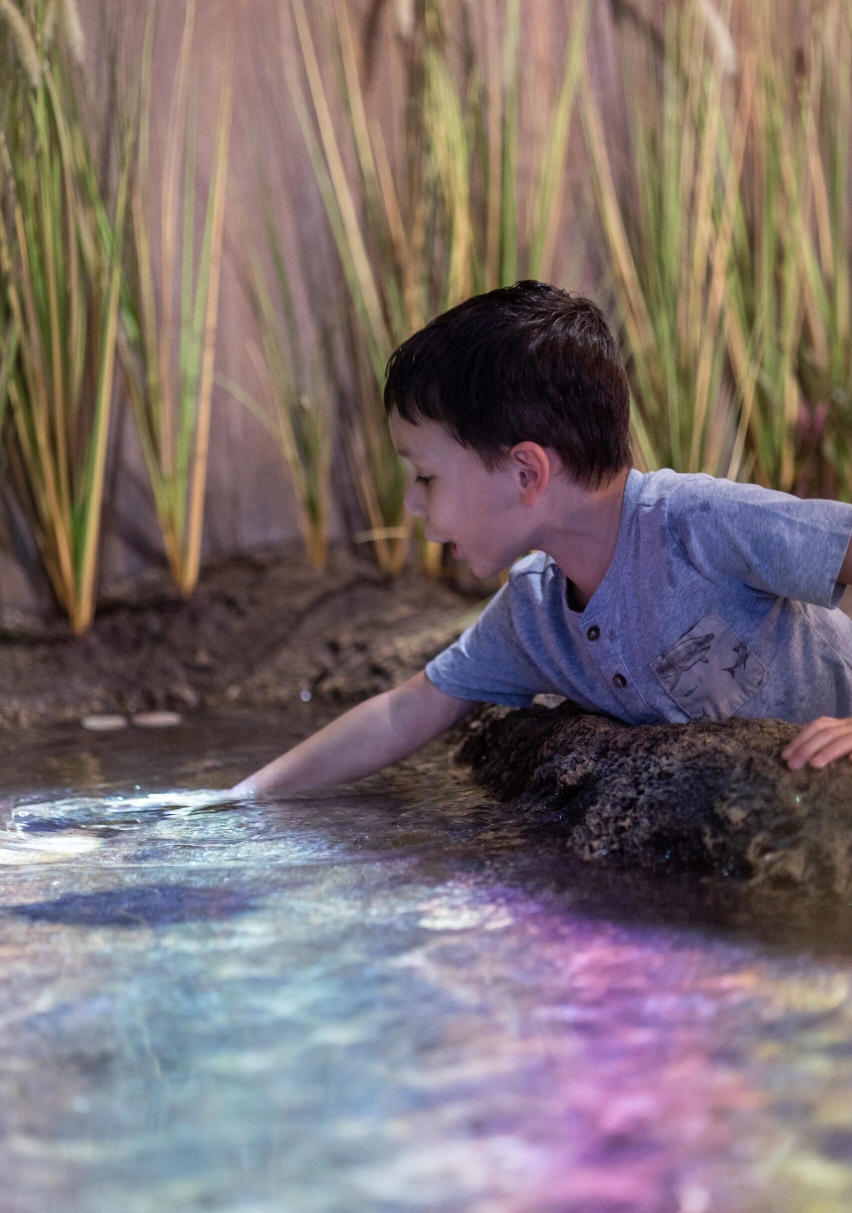 Celebrate "Free Kid Visit" Month at  Georgia Aquarium This September! 10