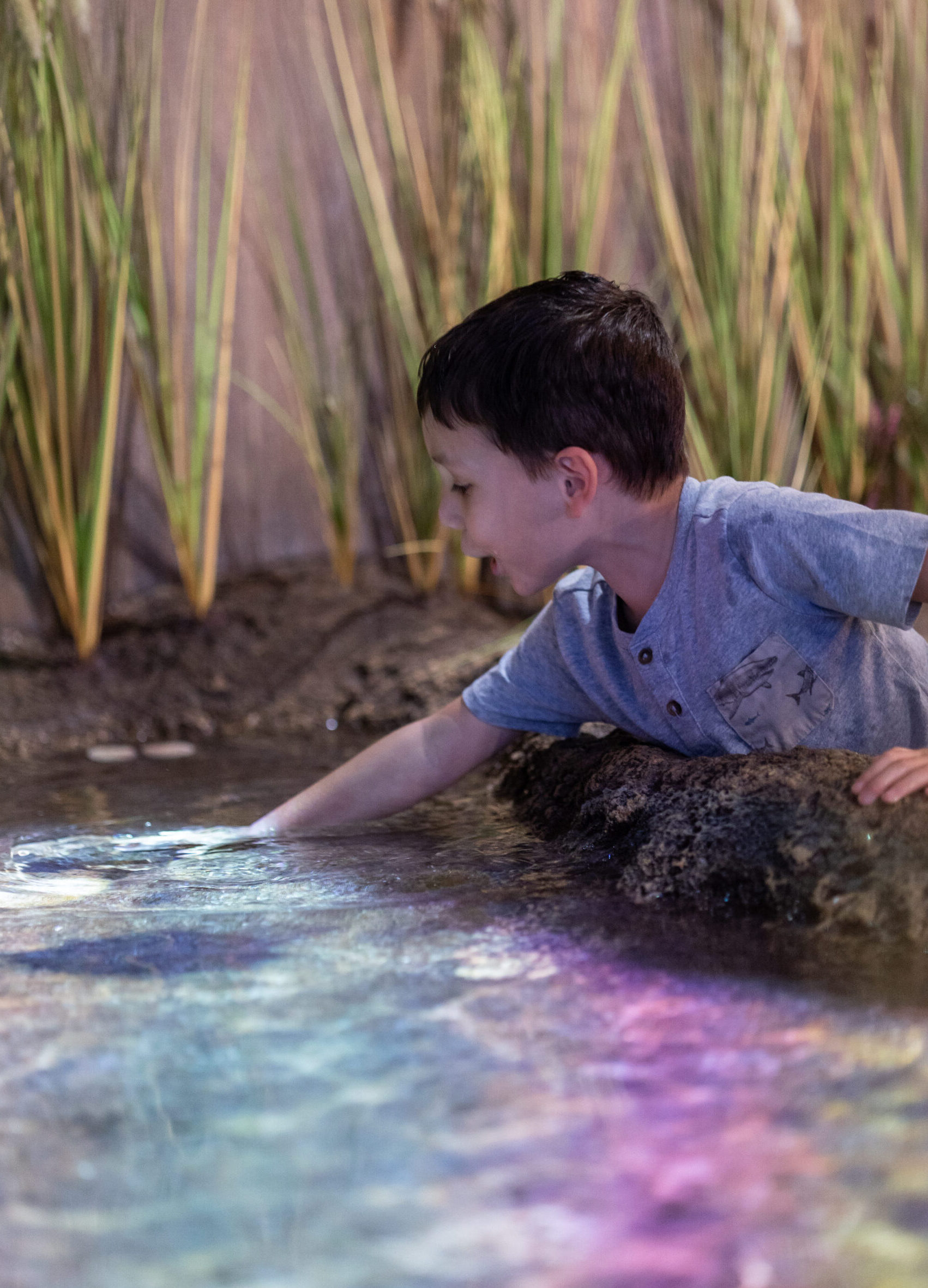 Celebrate "Free Kid Visit" Month at  Georgia Aquarium This September! 10