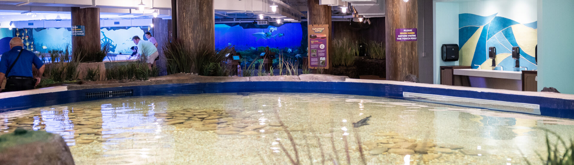 Explorers Cove: Georgia Aquarium's New Coastal Biome Exhibit! 1