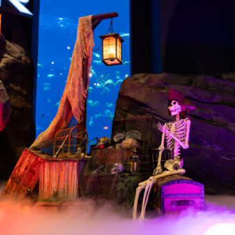 Haunted Seas Returns to Georgia Aquarium This Fall