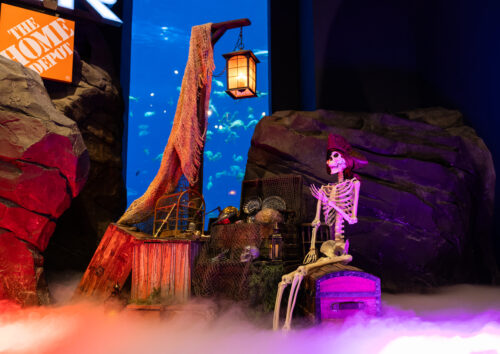 Haunted Seas Returns to Georgia Aquarium This Fall