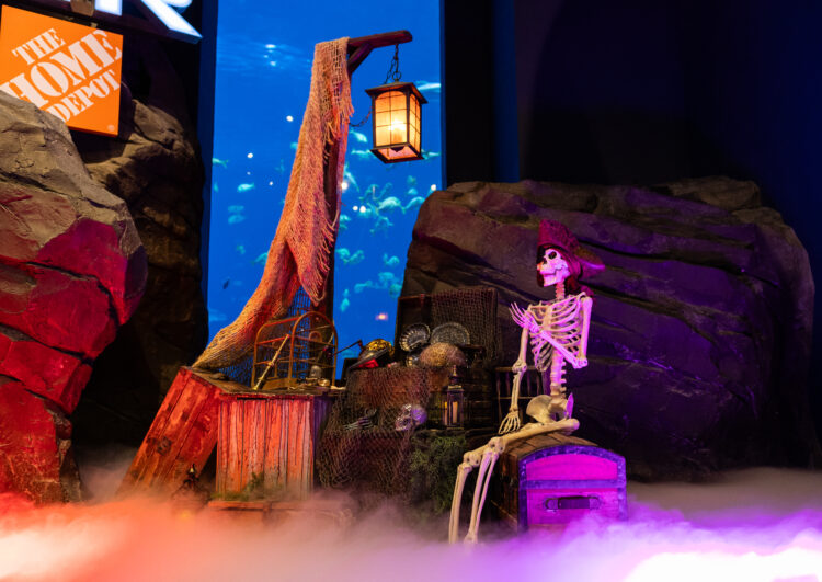 Haunted Seas Returns to Georgia Aquarium This Fall