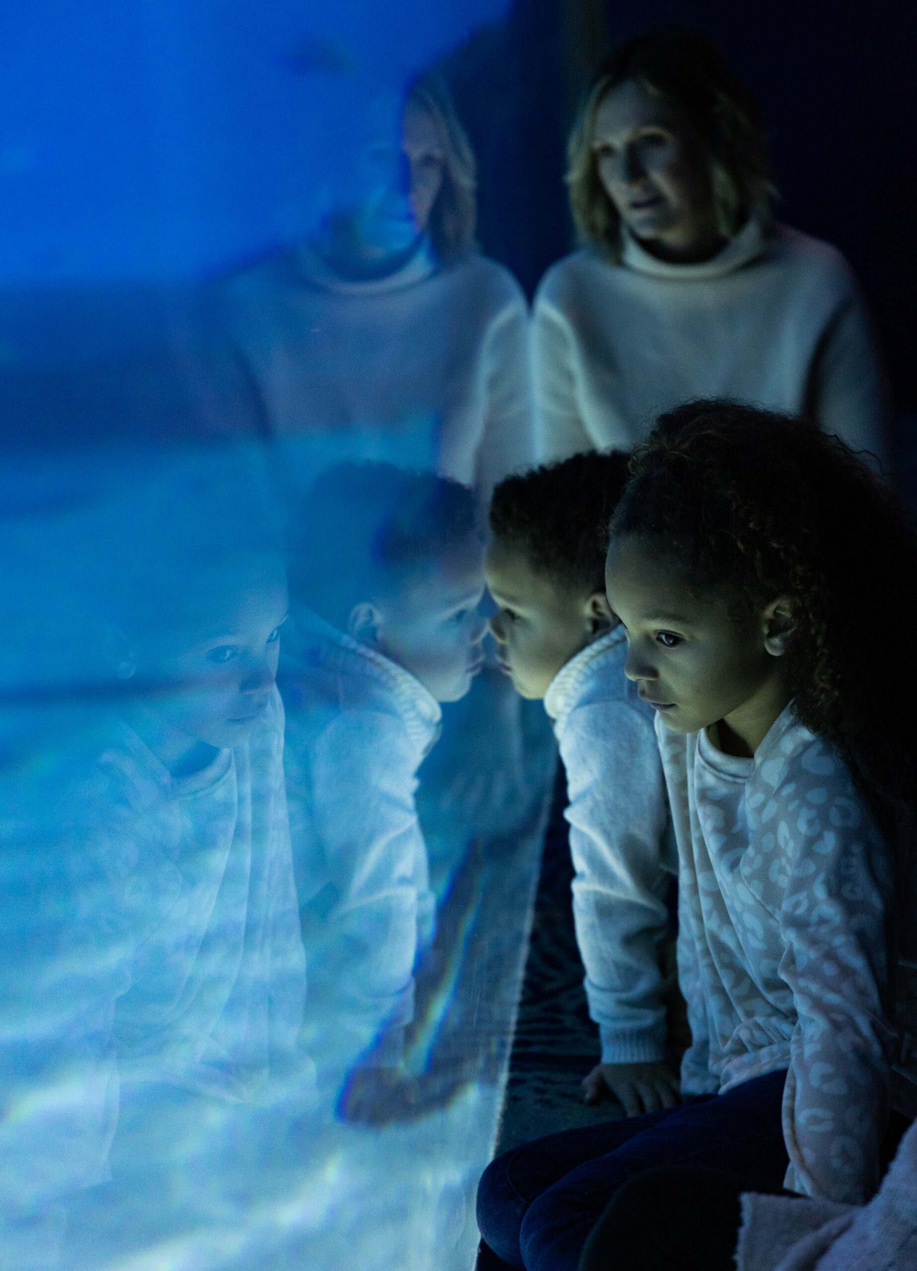 Kids Free Month at Georgia Aquarium: Fun for the Whole Family!