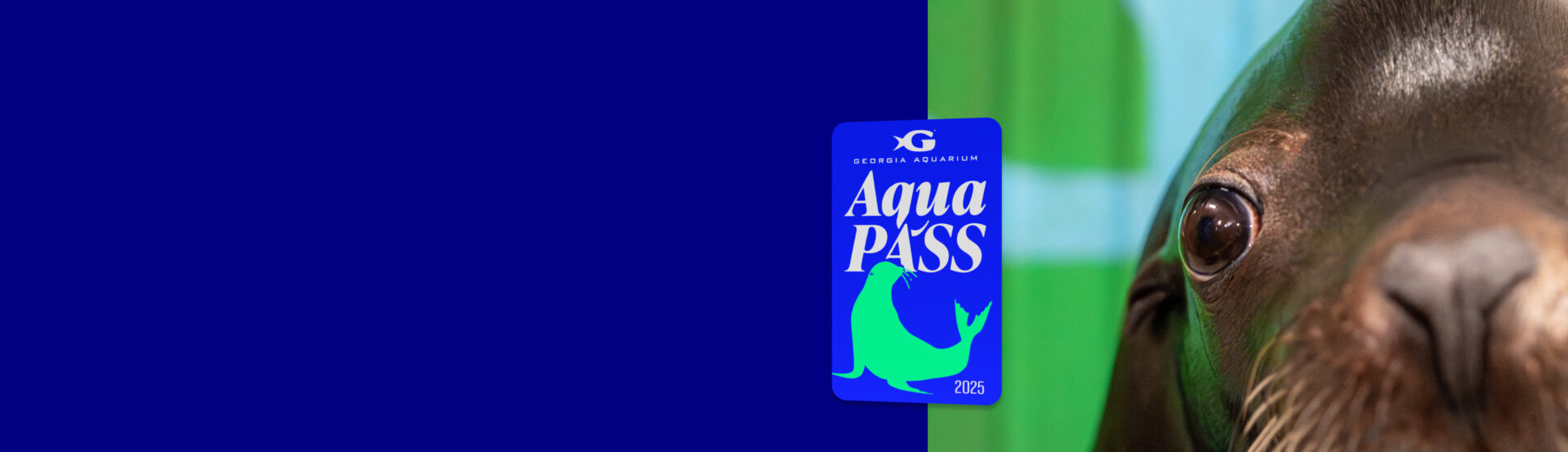 Aqua Pass 1