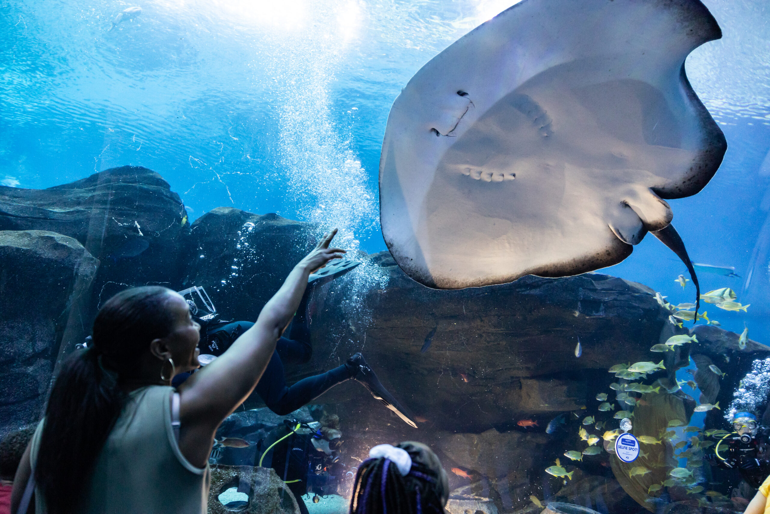 Is Georgia Aquarium’s Aqua Pass Right for You? 3