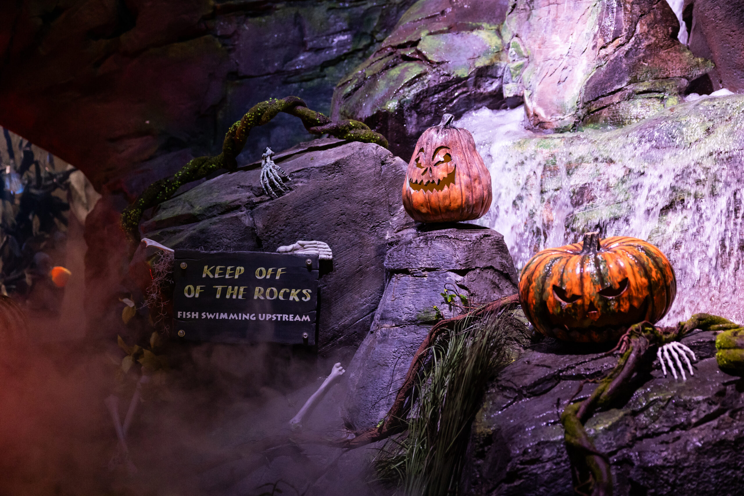 Things to Do at Haunted Seas this Halloween 2