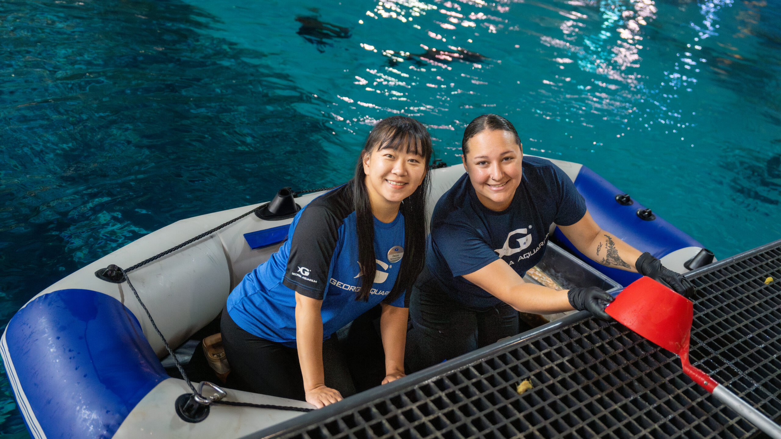 Tracking Sharks and Rays: A Collaborative Dive into Marine Research with Chi-Ju Yu (Debbie) 1