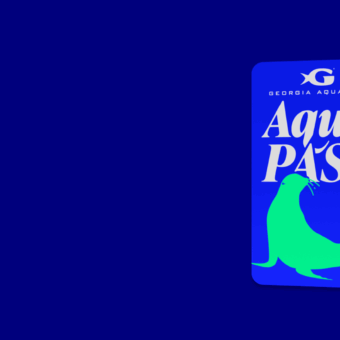 Is Georgia Aquarium’s Aqua Pass Right for You? 15