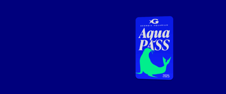 Is Georgia Aquarium’s Aqua Pass Right for You? 15