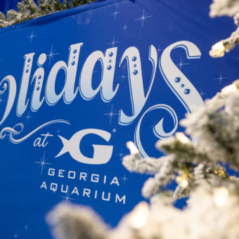 Experience the Magic of the Holidays at Georgia Aquarium 1