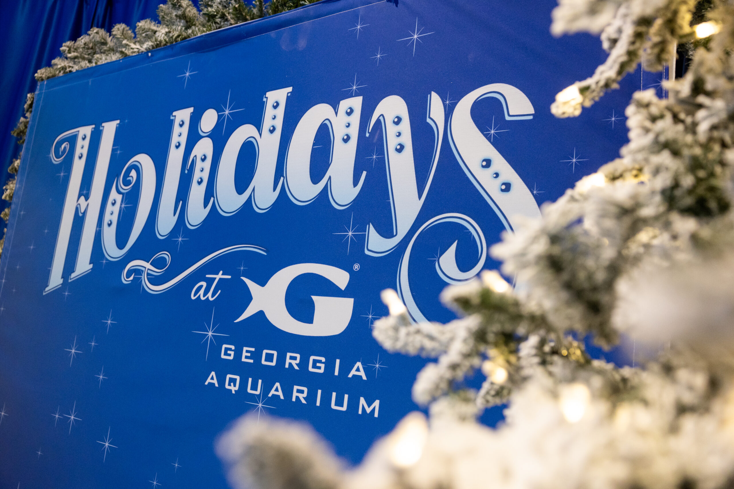 Experience the Magic of the Holidays at Georgia Aquarium 1