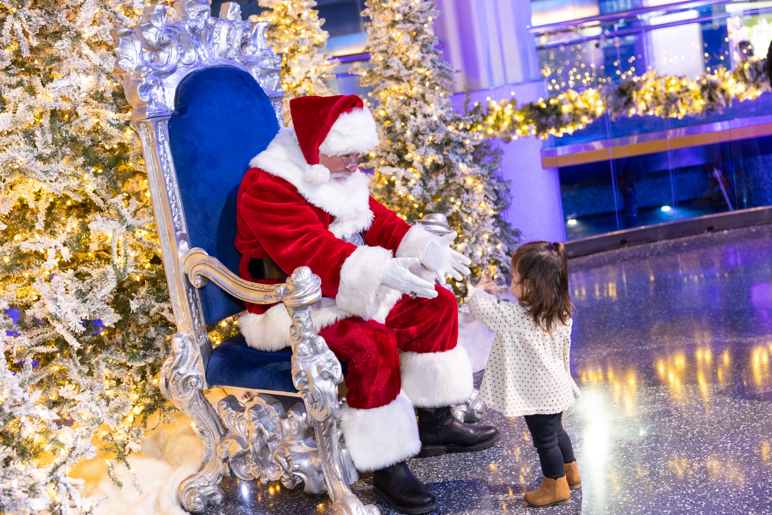 Experience the Magic of the Holidays at Georgia Aquarium 14