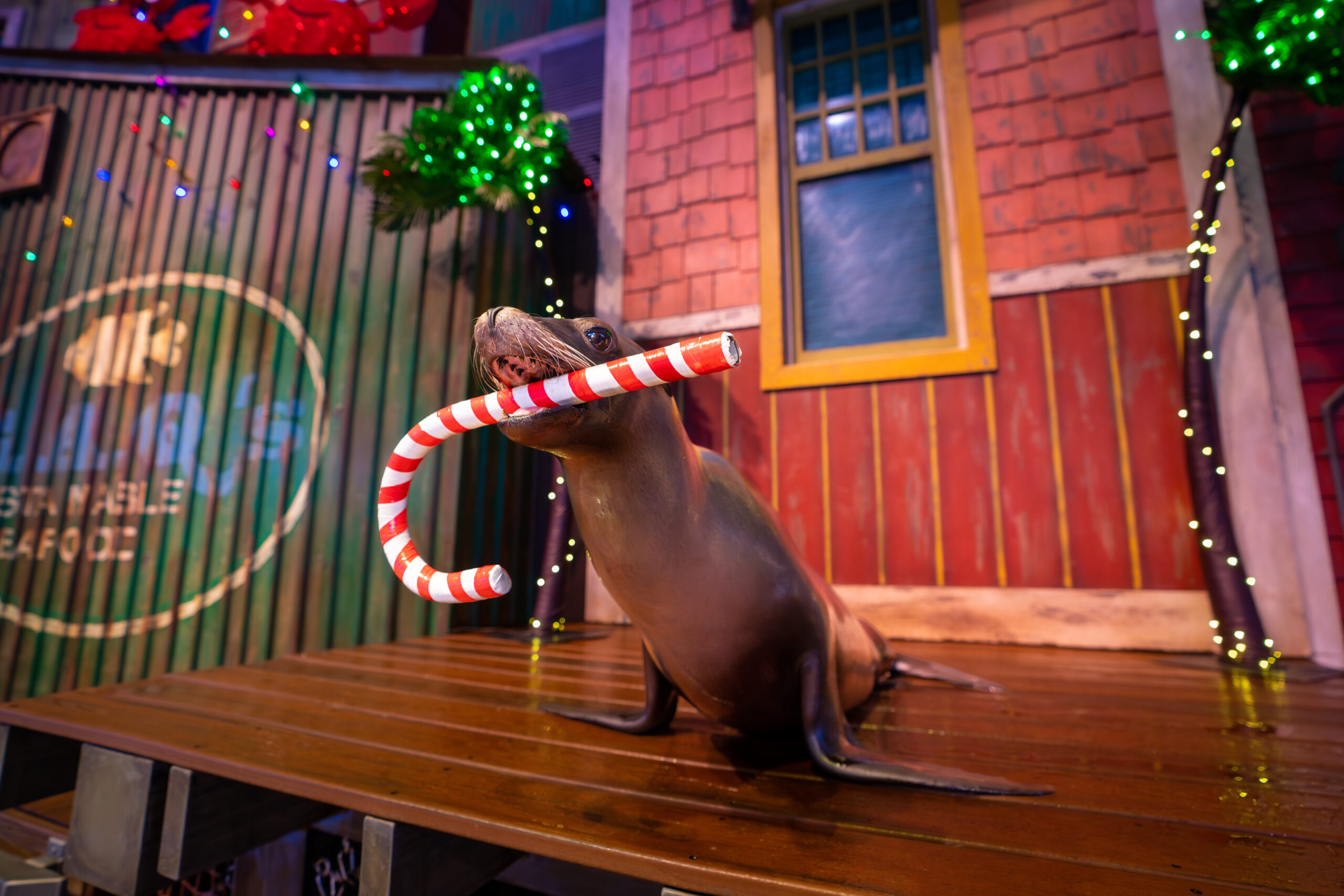 Experience the Magic of the Holidays at Georgia Aquarium 26