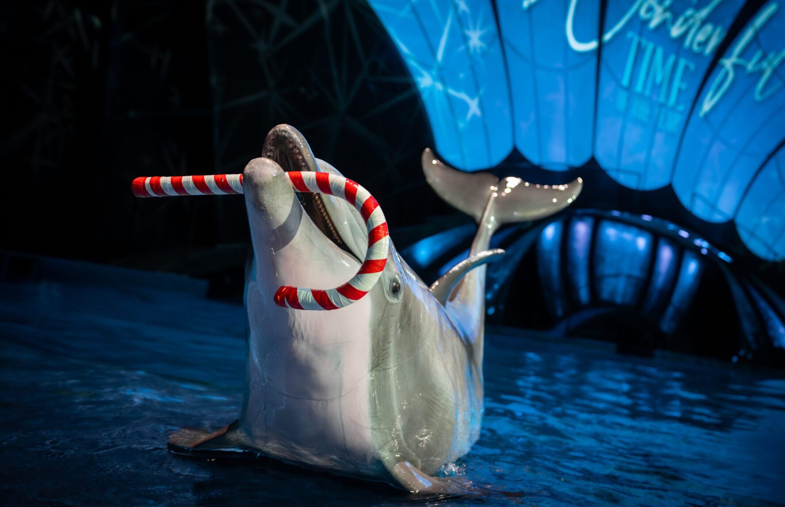 Experience the Magic of the Holidays at Georgia Aquarium 28