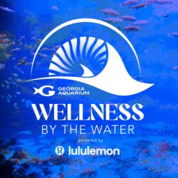 Wellness by the Water - Yoga 2