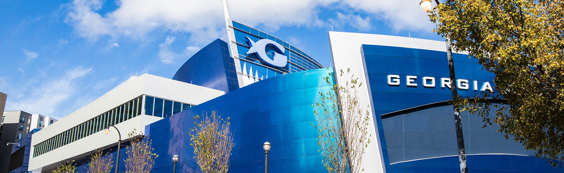 Celebrating 20 Years of Georgia Aquarium 12